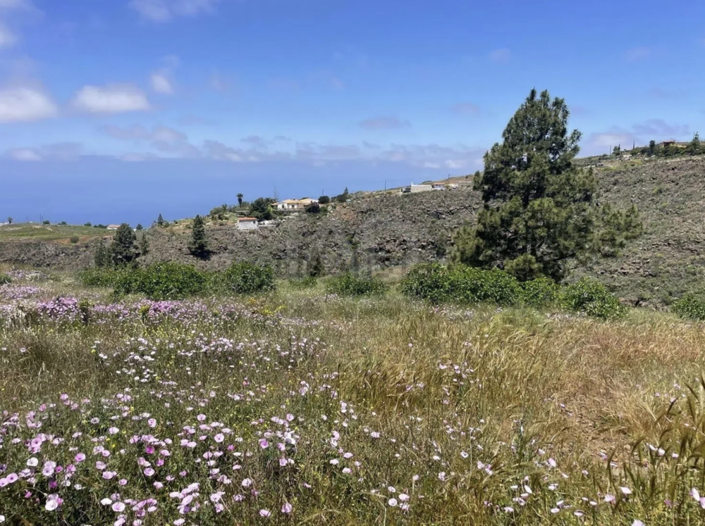 Vente Terrain Terrain rustique avec vue exceptionnelle Tenerife Adeje, espagne (Espagne)