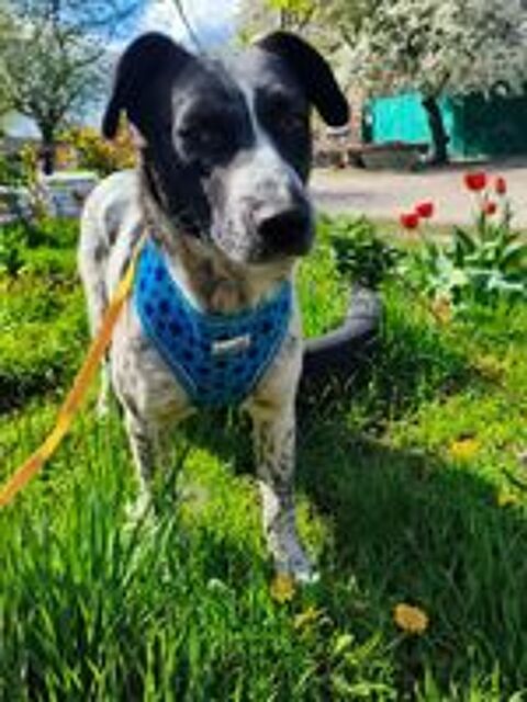   JACK SE TROUVE DANS UN REFUGE EN UKRAINE 
