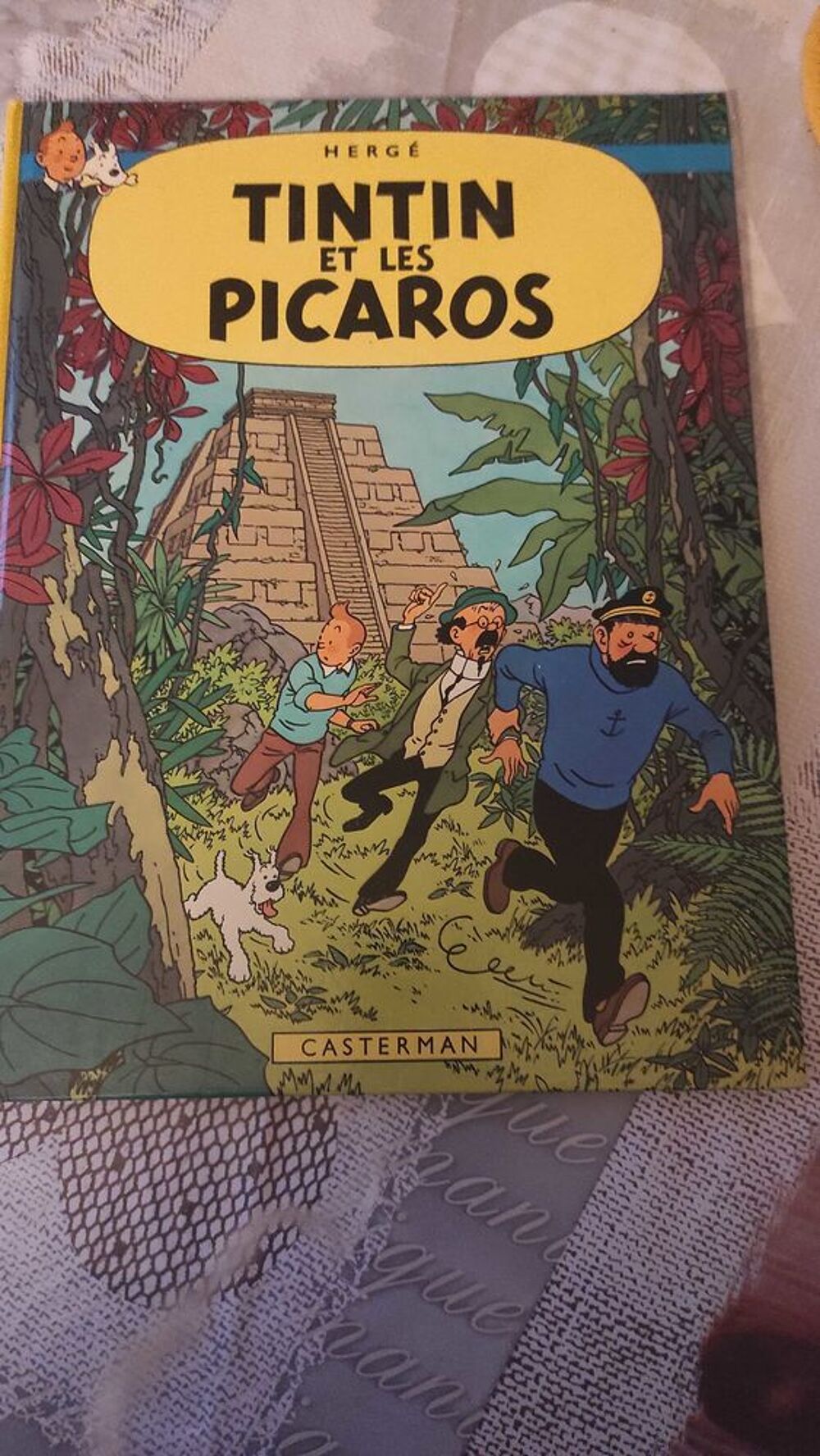 livre Tintin Livres et BD