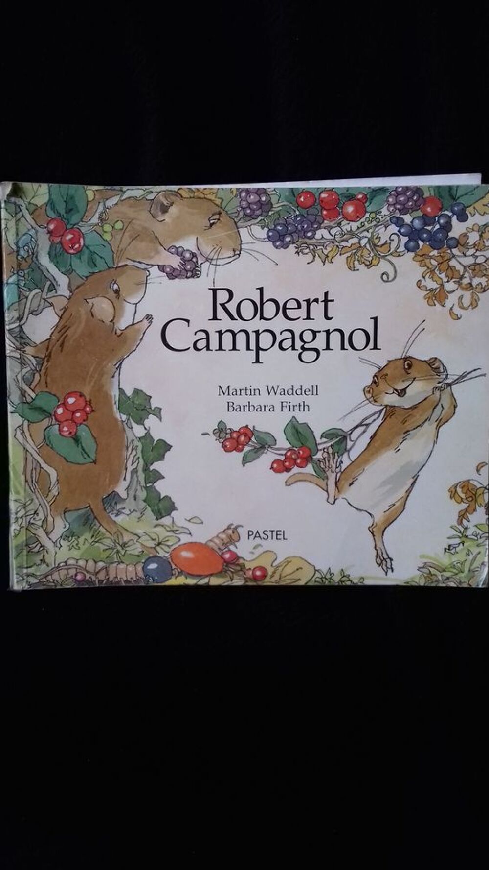UN LIVRE. D EVEIL POUR ENFANTS Livres et BD