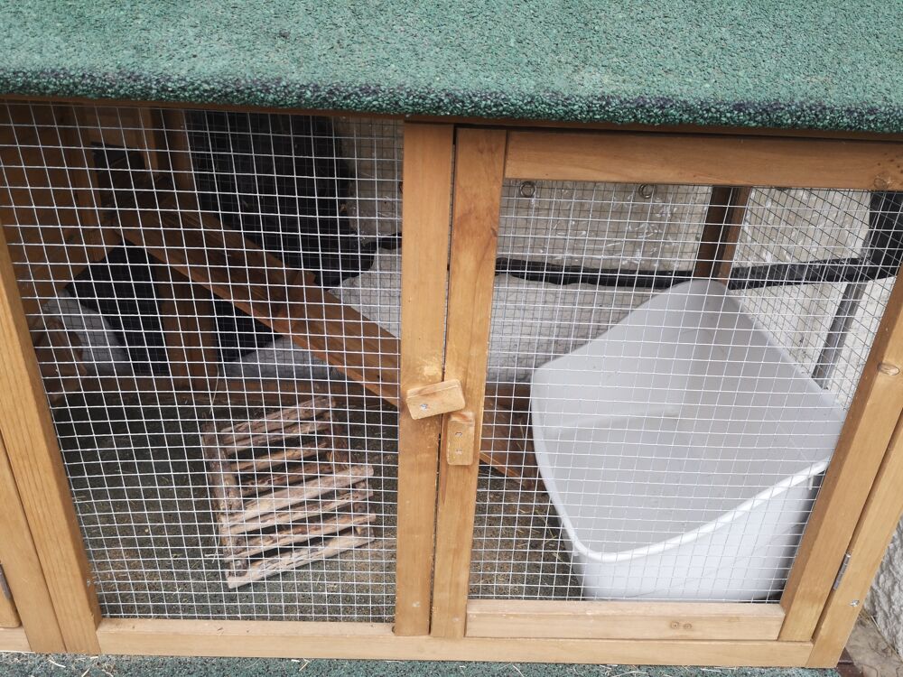 Maison en bois pour lapin Jardin