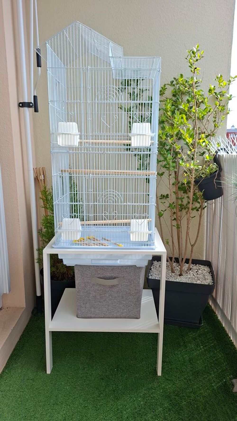   Cage à oiseaux  