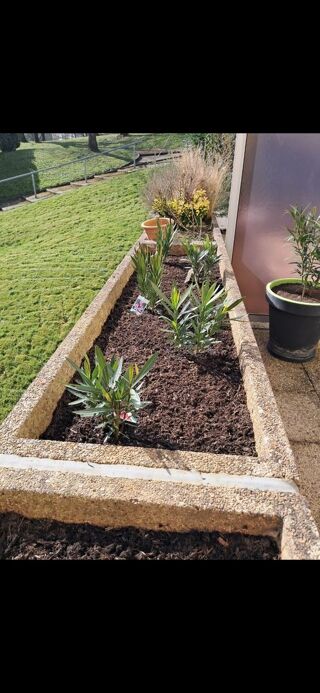  Appartement � vendre 3 pi�ces 90 m�