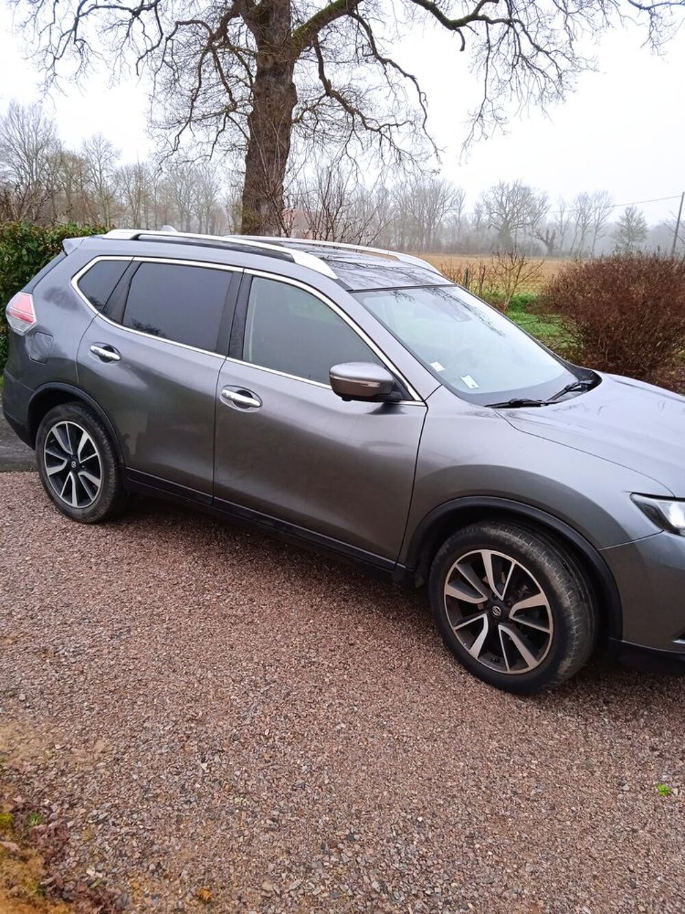 X-Trail X-TRAIL 1.6 dCi 130 5pl Xtronic N-Connecta 2016 occasion 36230 Tranzault