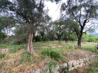  Terrain � vendre 900 m� Grasse