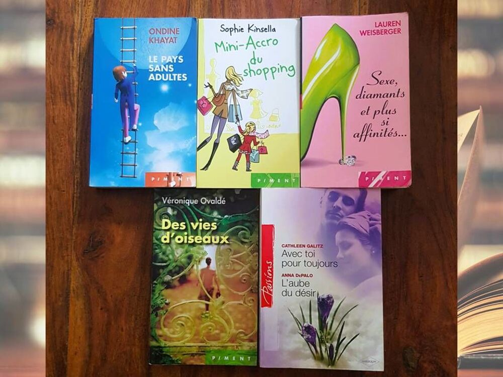 Litt&eacute;rature contemporaine - Lot 6 romans en 5 livres Poche Livres et BD