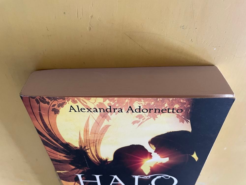 Livre L'amour Interdit Tome 1 - Halo - Adornetto Alexandra Livres et BD