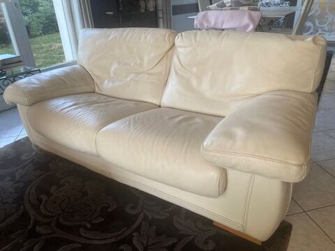 Canapé Roche Bobois Pringy (74)