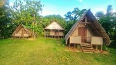   Recherche de G�rant pour mon domaine � St Marie (Madagascar) 