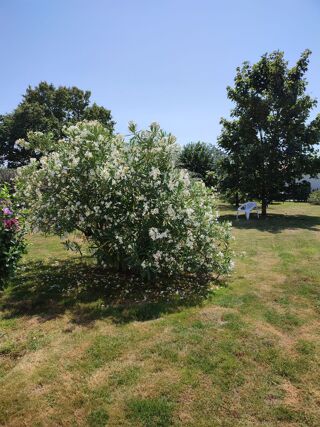  Maison � vendre 8 pi�ces 167 m�