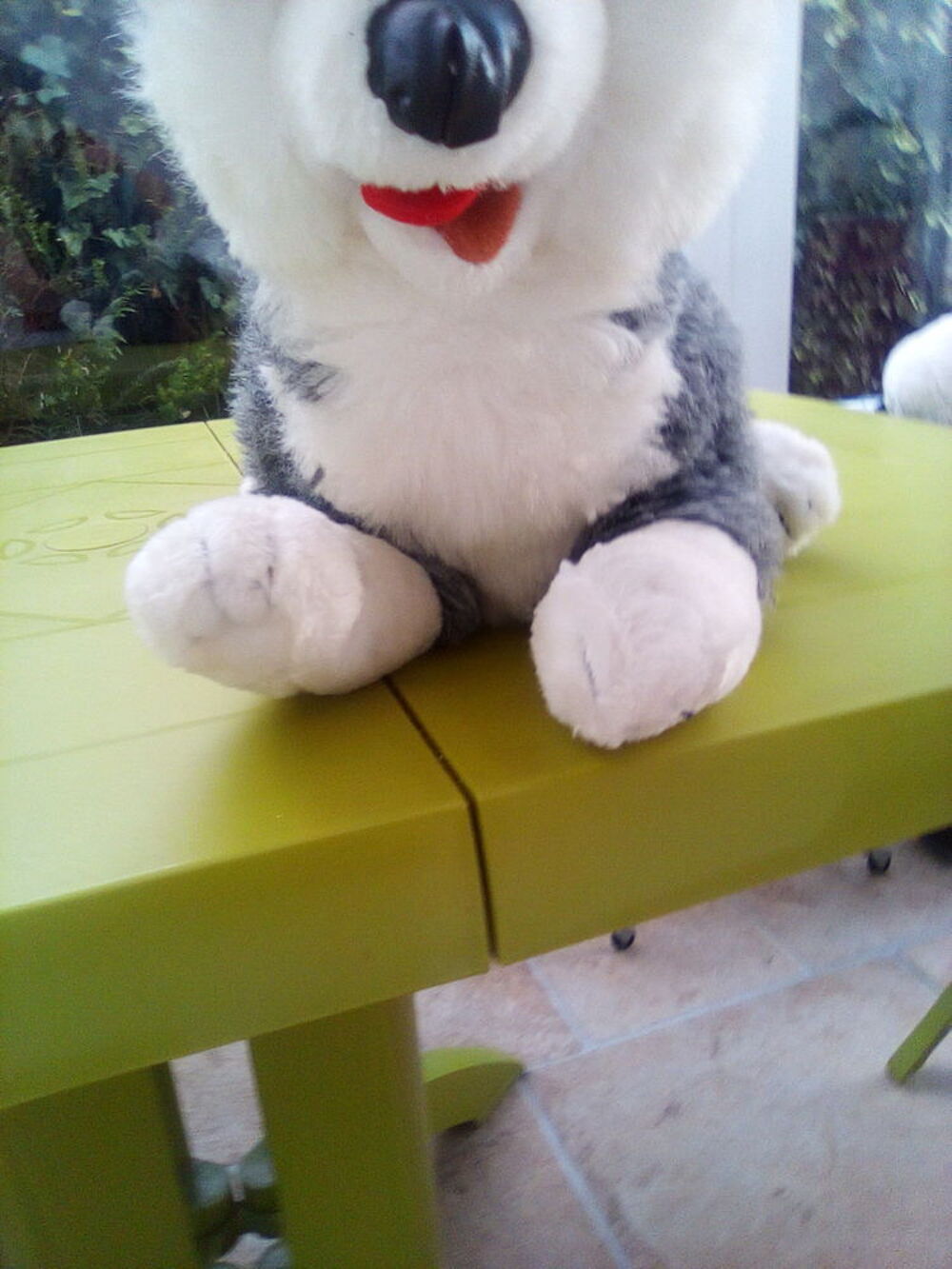 Grosse peluche husky Jeux / jouets