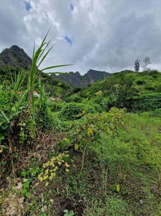  Terrain à vendre 2322 m²