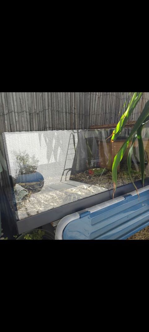 Terrarium tortue 100 13090 Aix-en-provence