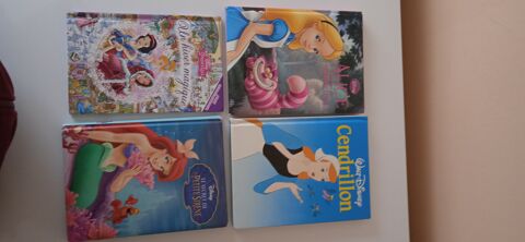 Lot BD princesse Disney 10 Pouzols (34)