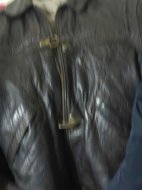 veste cuir Bonnieux (84)