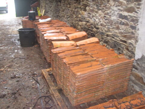 TUILES STOP....COURANTS 1 Saint-Georges-de-Montaigu (85)