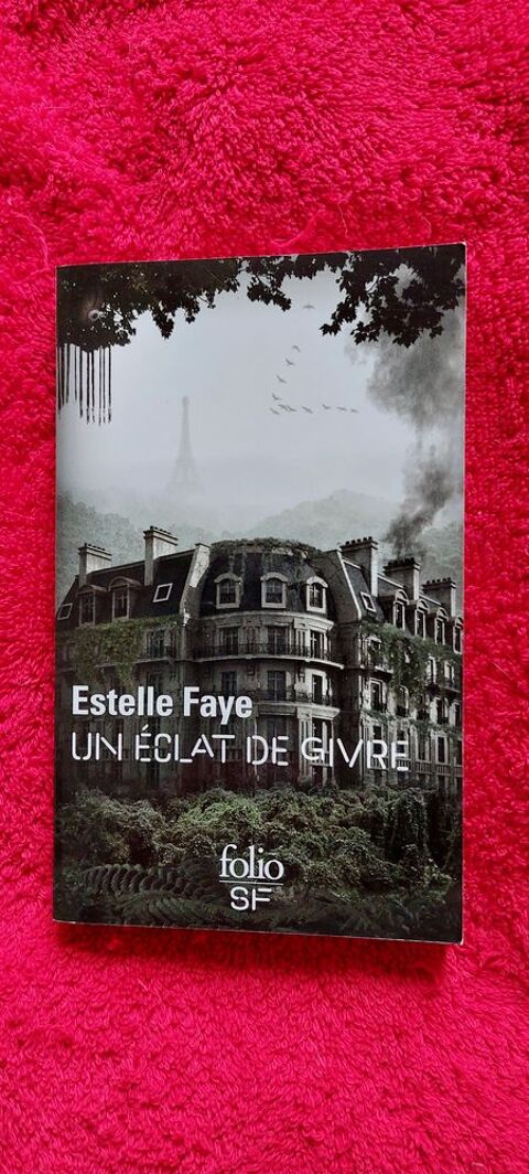 Un clat de givre d'Estelle Faye 3 Paris 12 (75)