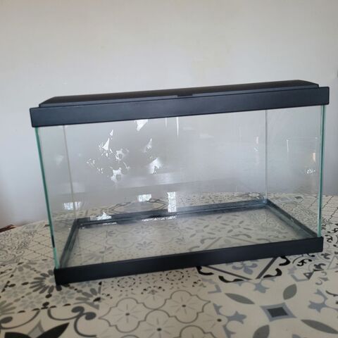 Aquarium 25 77200 Torcy