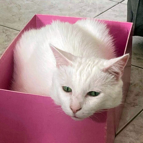 NEIGE 1 26700 La garde-adhmar