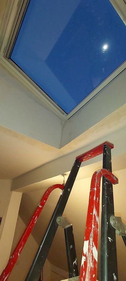 Peintre s&eacute;rieux disponible rapidement 0 75016 Paris