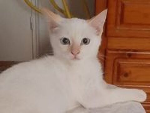   EDUARD 