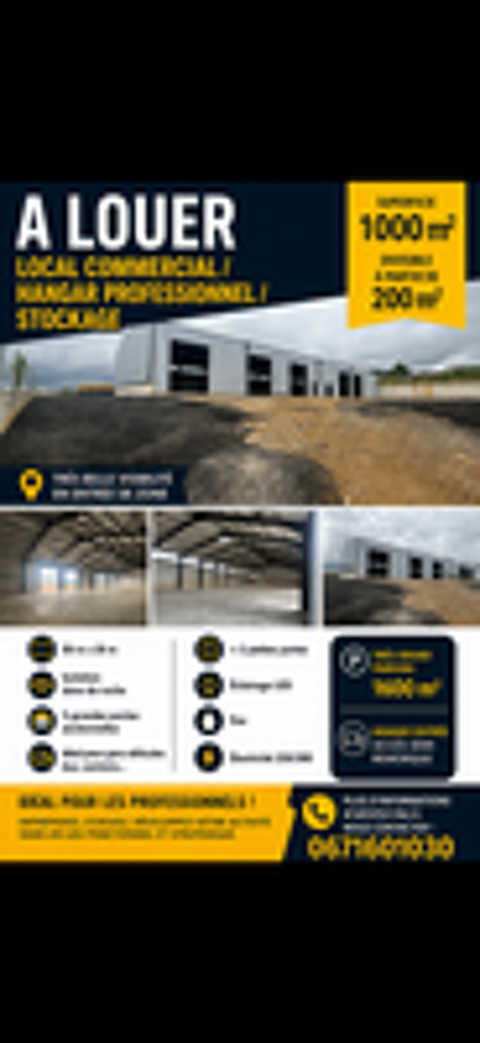 Image Annonce