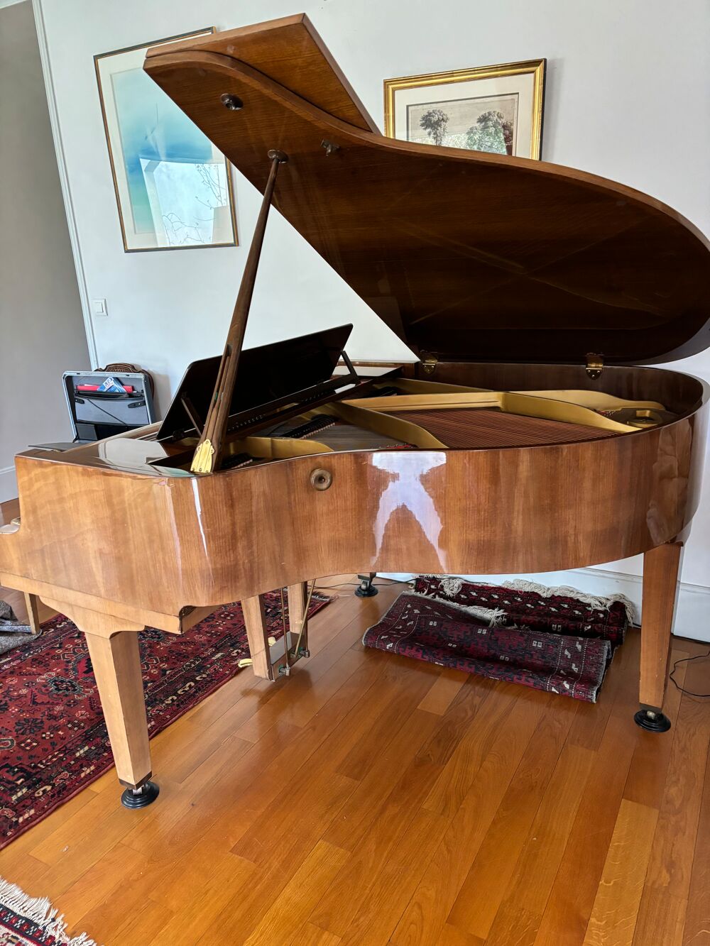 cause d&eacute;c&egrave;s , piano &agrave; queue Petrof Instruments de musique