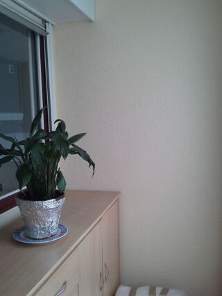  Appartement � louer 1 pi�ce 33 m�