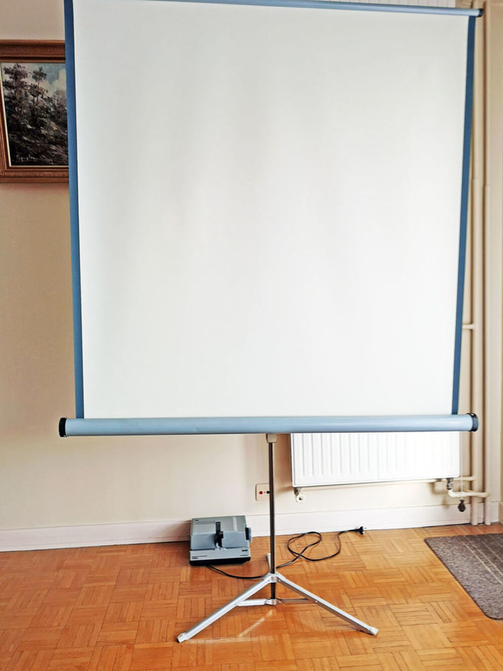 Projecteur + &eacute;cran + 60 paniers + 30 bo&icirc;tes de rangement Photos/Video/TV