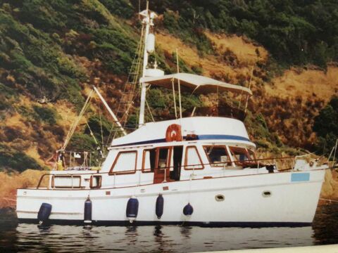 Bateaux à moteur Vedette - Yacht - Offshore 1988 occasion Nivelles 83700