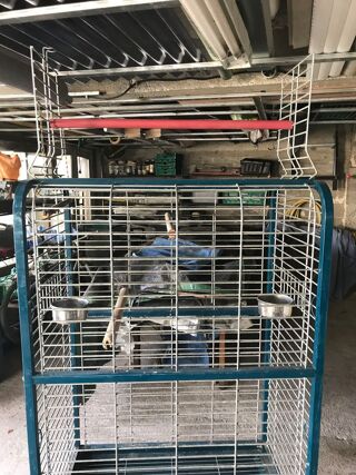 Cage à hamsters 3 niveaux - nombreux accessoires - métal PP bleu blanc