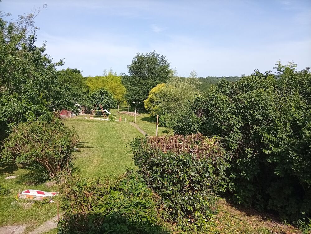 Vente Maison MAISON + JARDIN + CU .. DANS UN HAVRE DE PAIX ET DE VERDURE Albi