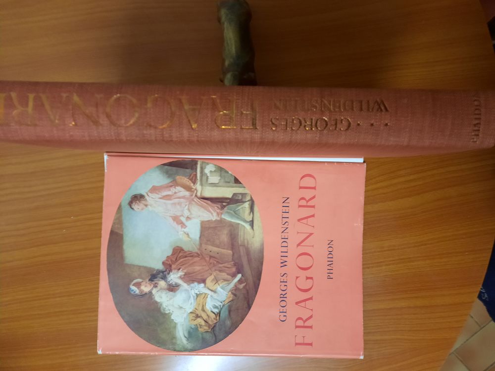 Les peintures de FRAGONARD Georges WILDENSTEIN Livres et BD