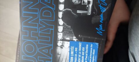 Johnny Hallyday cd 10 Gien (45)