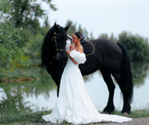   Shooting photo et vido  cheval 