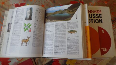 2 dictionnaires Larousse S�lection (Tomes 1 & 2)  10 Ervy-le-Ch�tel (10)