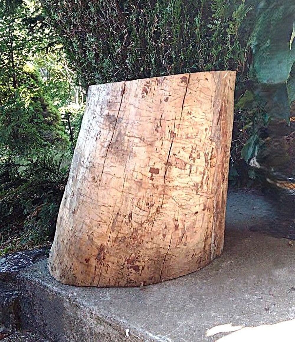 Gros rondin pour couper du bois ou support d'enclume Bricolage