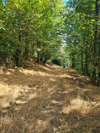  Terrain � vendre 11000 m� 