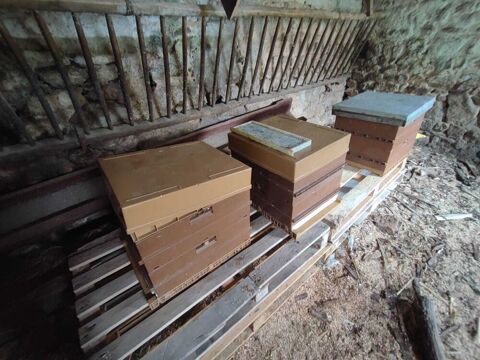 ruche nicot 50 Le Creusot (71)