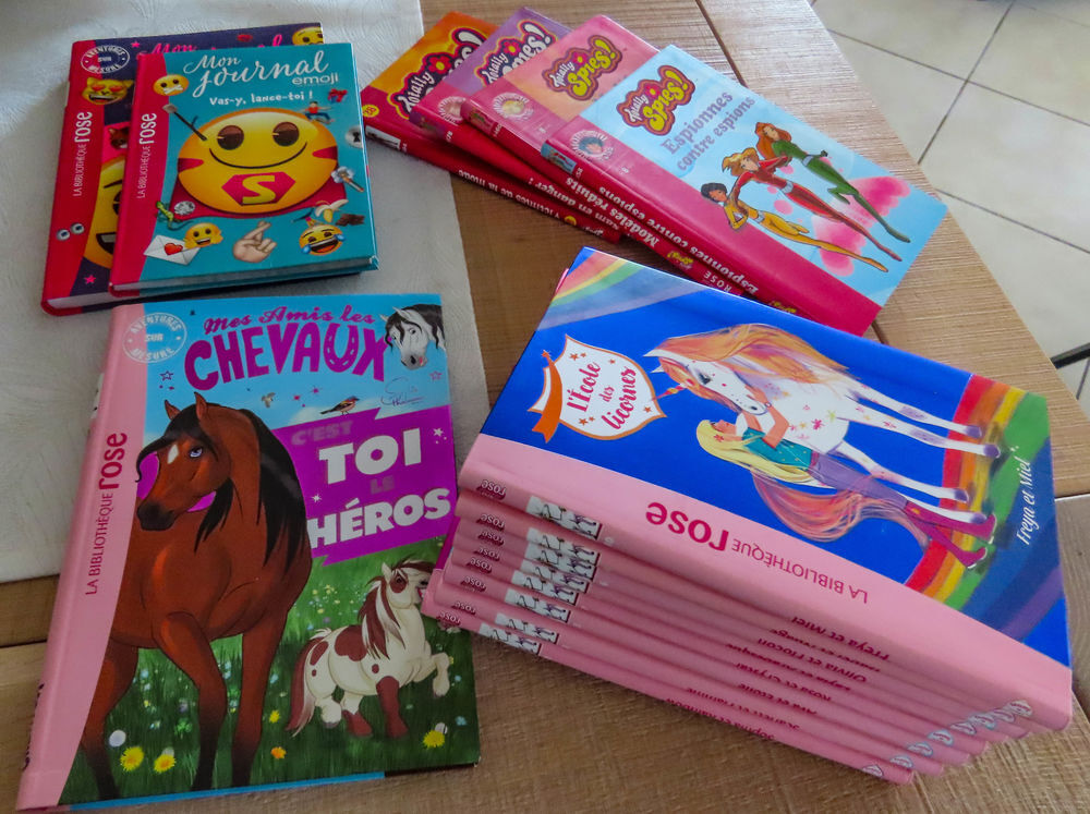 LIVRES JEUNESSE BIBLIOTHEQUE ROSE Livres et BD
