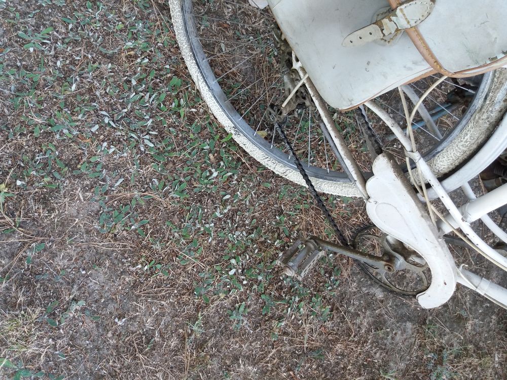 V&eacute;lo femme" vintage" Vélos