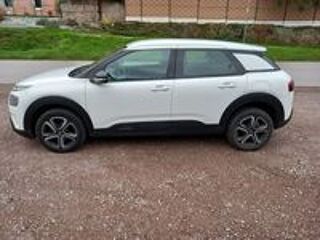 C4 cactus STE 1.5 BLUEHDI 100 FEEL NAV GPS 2 PLACES 46194 KMS 2020 occasion 88220 Urim&eacute;nil