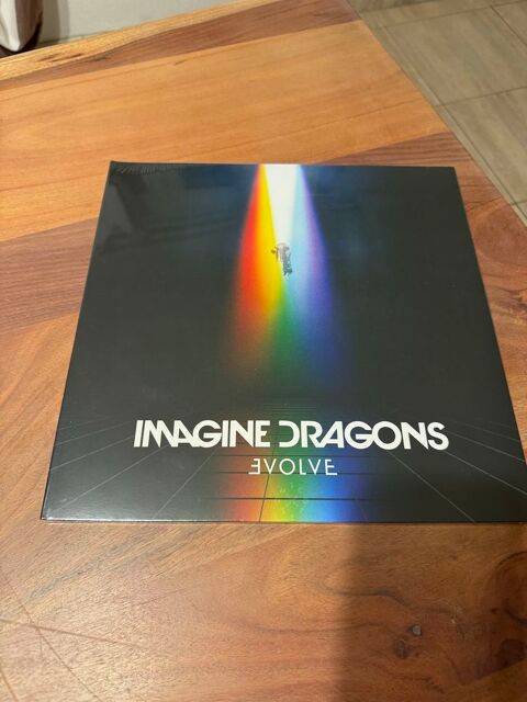 vinyle evolove par Imagine Dragons 25 Luc-sur-Orbieu (11)