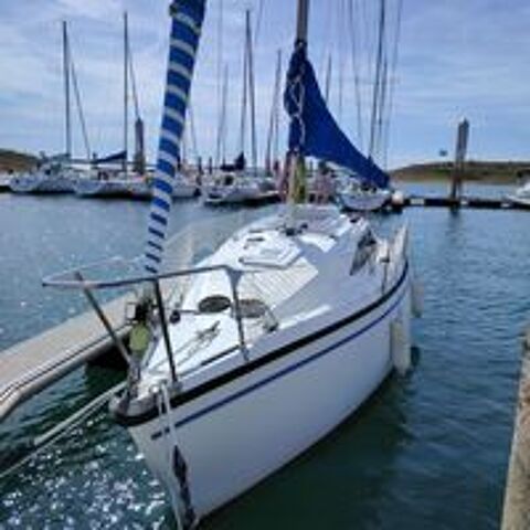 Monocoque 1980 occasion 51300 Glannes