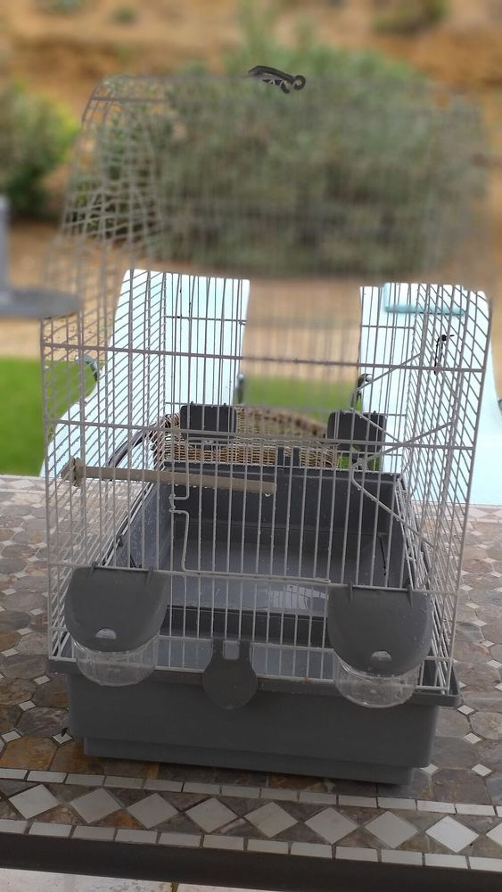   Cede très belle cage blanche et grise pour oiseaux  