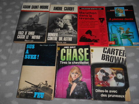 Lot 7 livres FLEUVE NOIR et POCHE NOIRE 4 Vernon (27)
