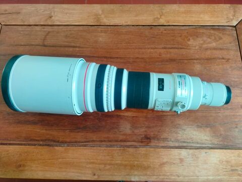 canon 600mm f4 l is Orléans (45)