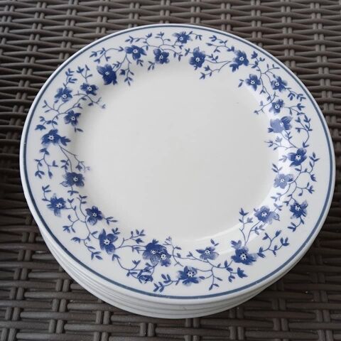 Assiettes en Porcelaine bleus 
20 Chevigny-Saint-Sauveur (21)