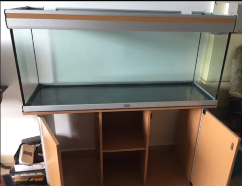 Aquraium 300 97116 Pointe-noire