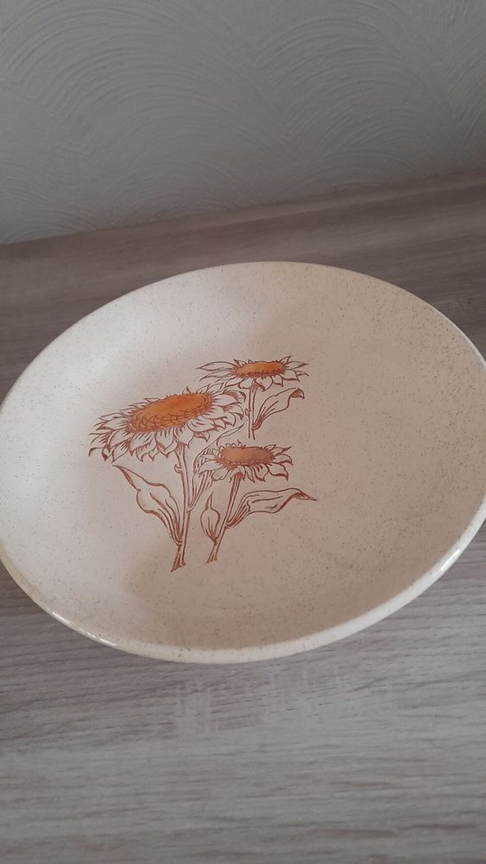 Grande assiette fa&iuml;ence cs3 st Amand. Diam&egrave;tre 27 cms. Décoration